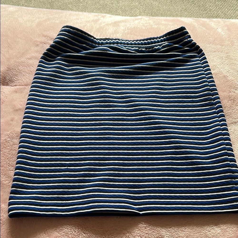 Striped Blue and White Women's Skirt